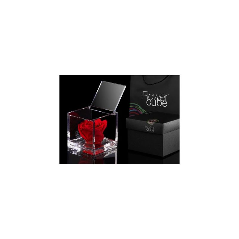 FlowerCube Vermelho 8cm