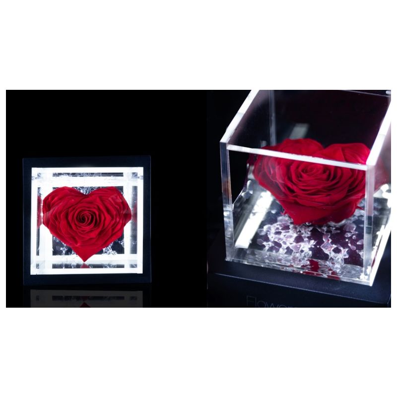 FlowerCube Coração Vermelho 10 cm