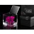 Flowercube Fucsia 8cm