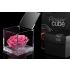 Flowercube rosa 10cm