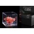 Flowercube Peach 10cm