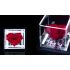 Flowercube Coração vermelho 10cm