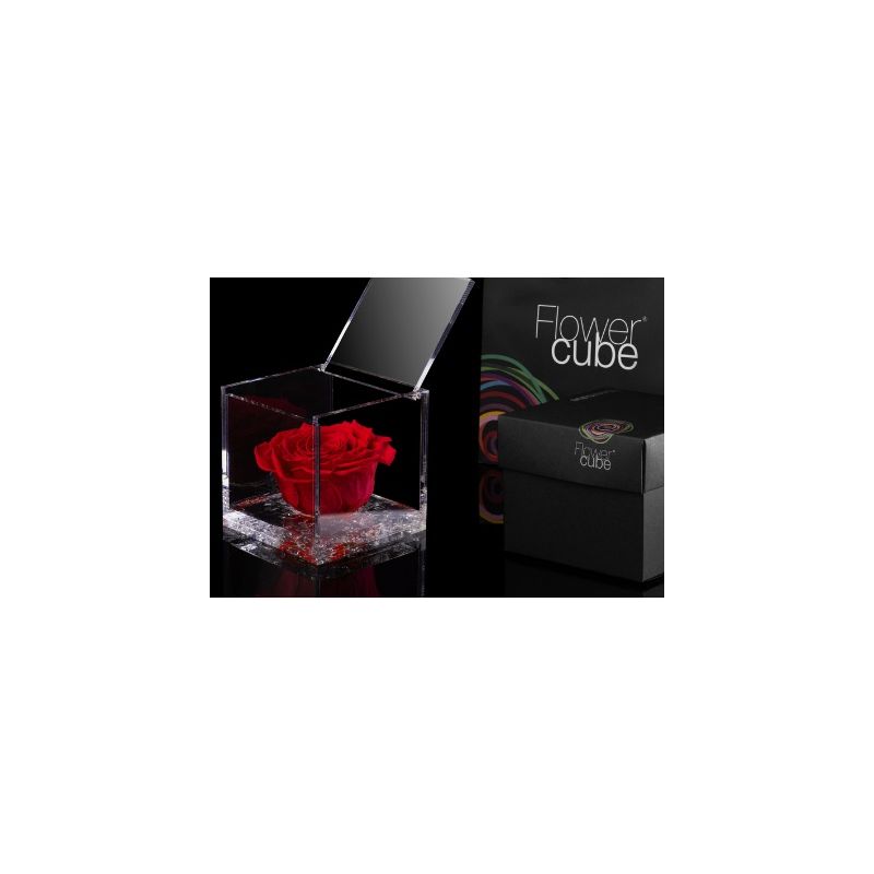 FlowerCube Vermelho 10cm