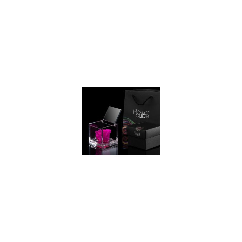 FlowerCube Fucsia 6cm