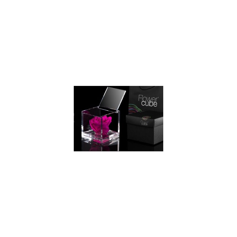 FlowerCube Fucsia 8cm