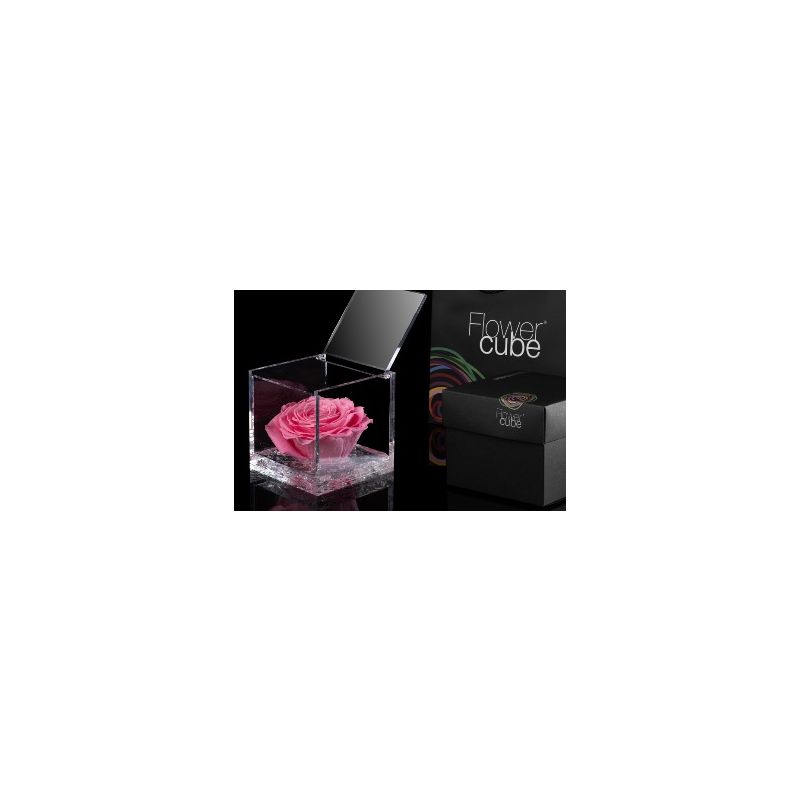 FlowerCube Rosa 10cm