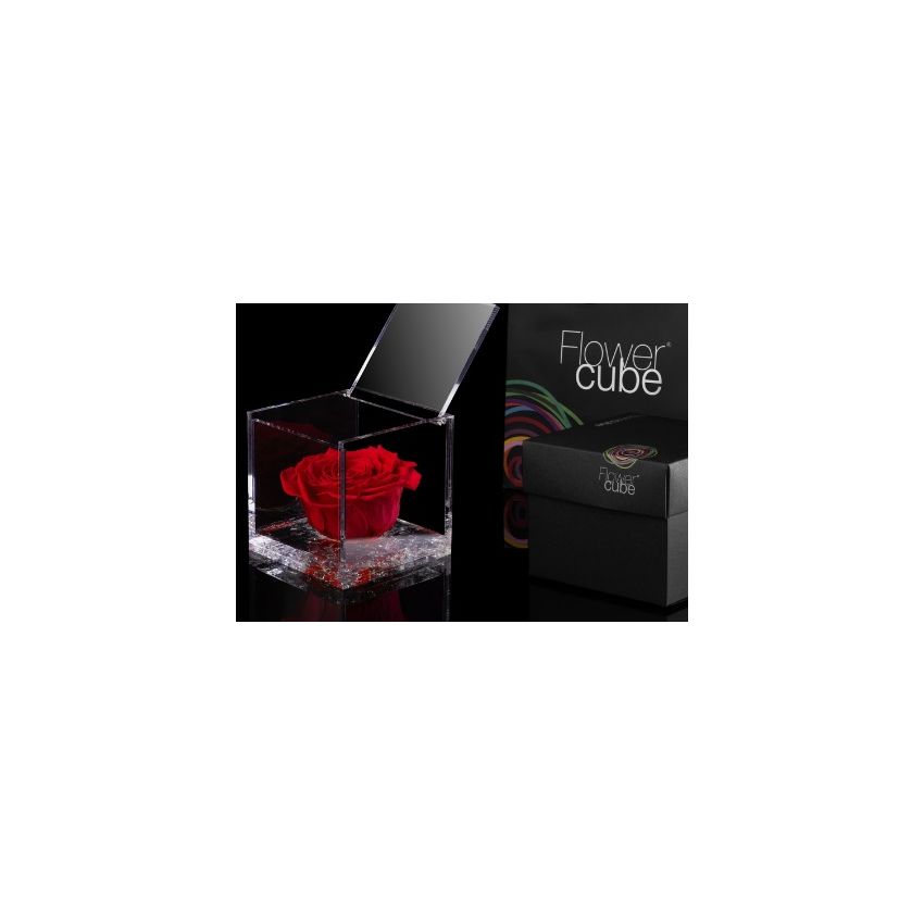 FlowerCube Vermelho 10cm