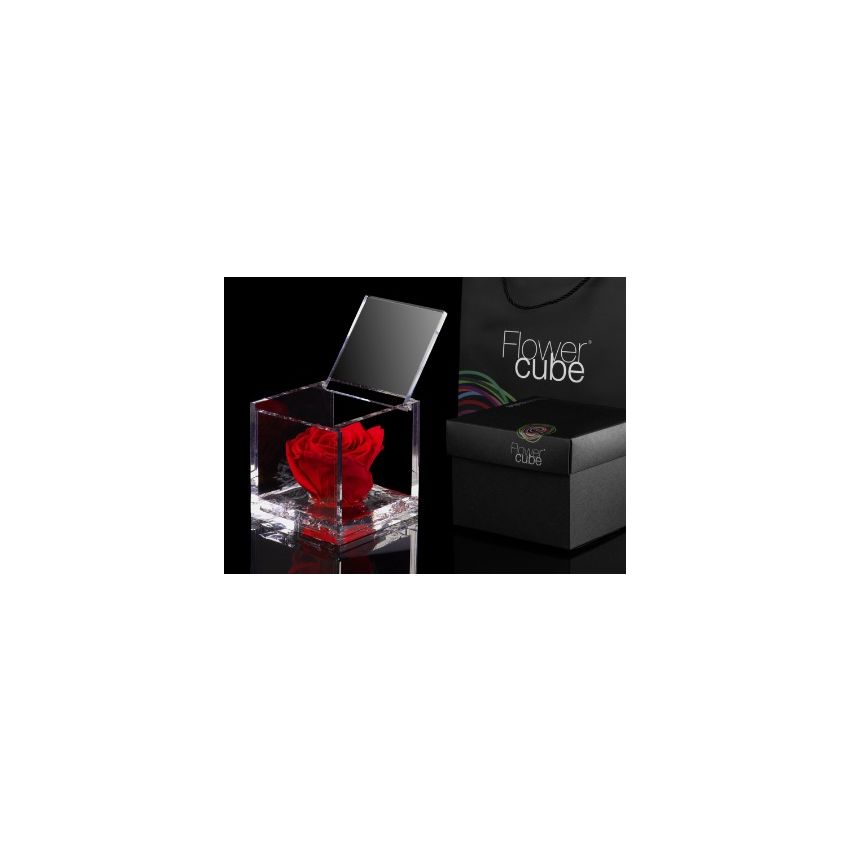 FlowerCube Vermelho 8cm