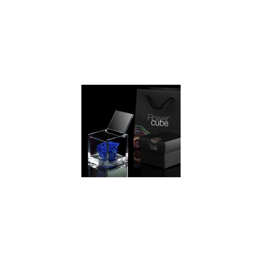 FlowerCube Azul 6cm 