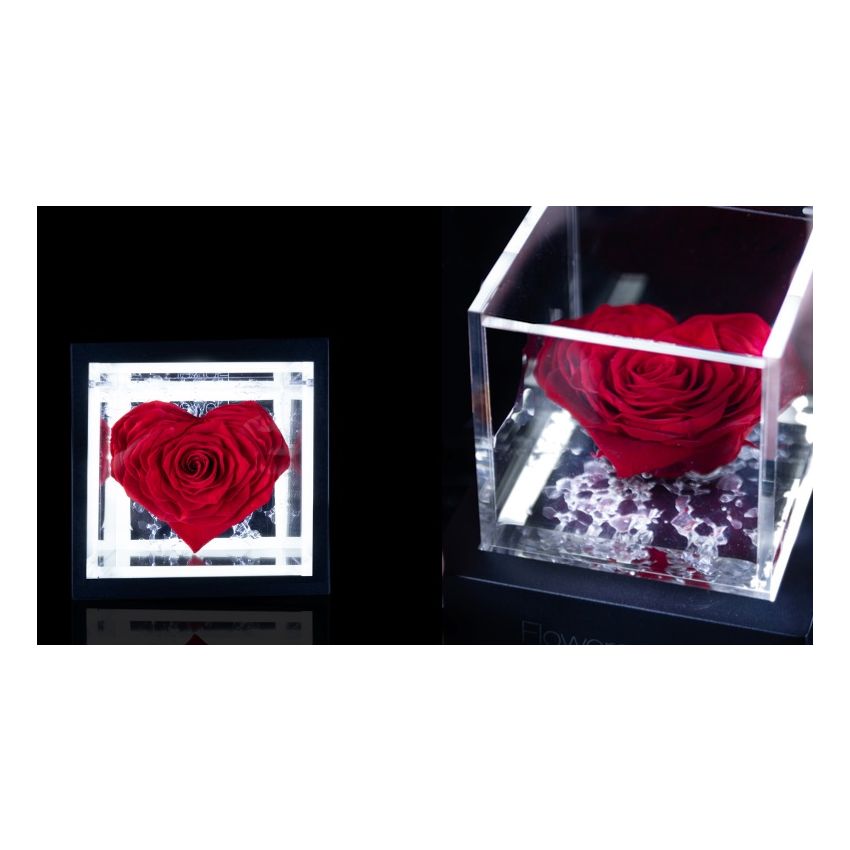 FlowerCube Coração Vermelho 10 cm