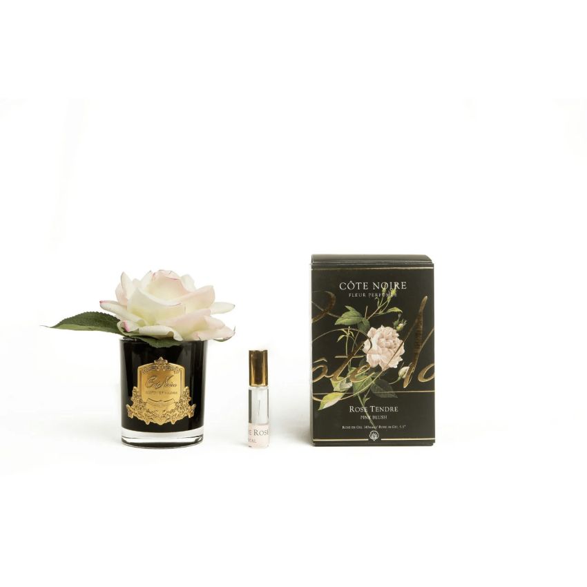 Perfumed Single Rose Pink Blush