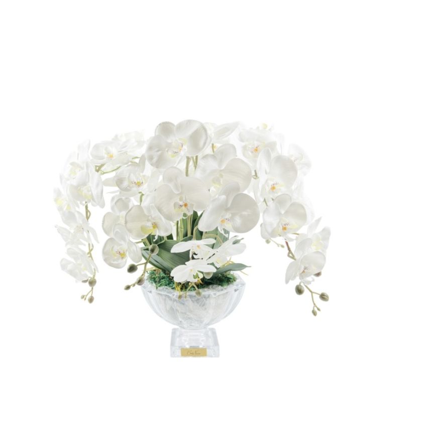 Centrepiece Orchid White